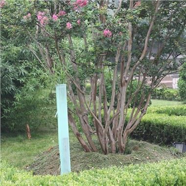 محافظ انگور