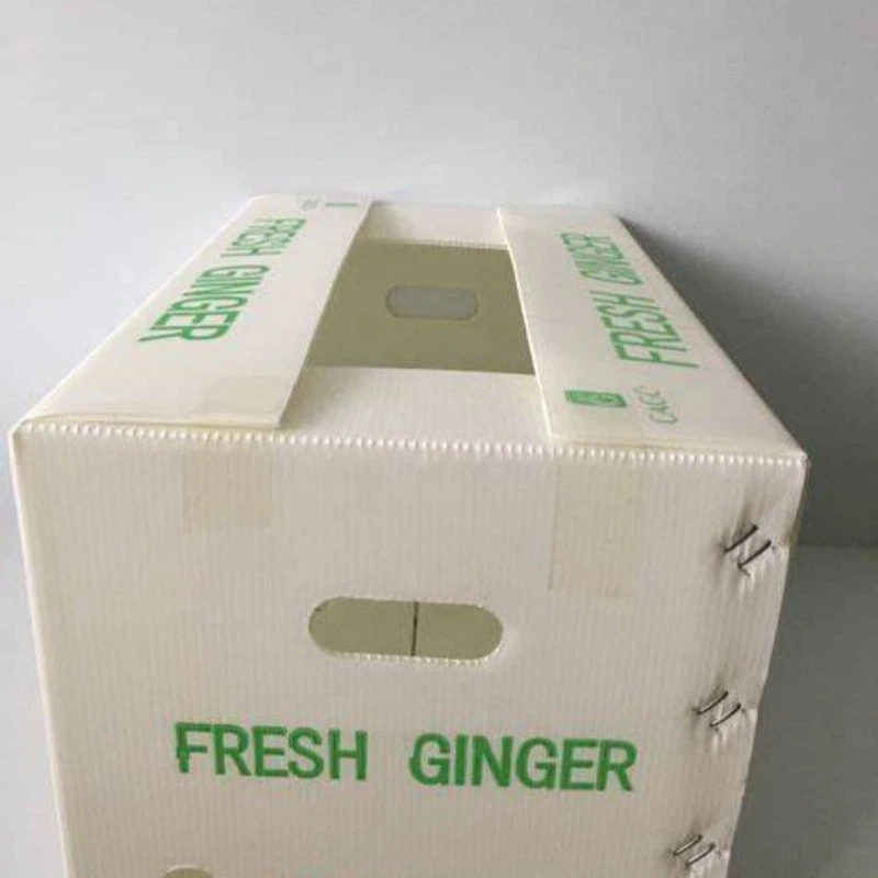 High Quality Recycling Corrugated Plastic Box