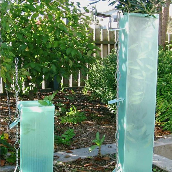 PP Corflute Plant Protectors