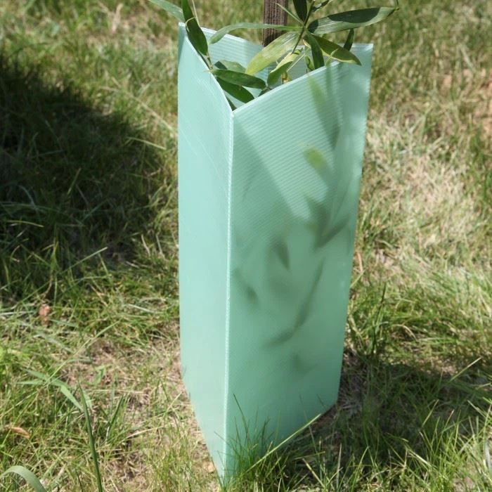 PP Corflute Tree Guard