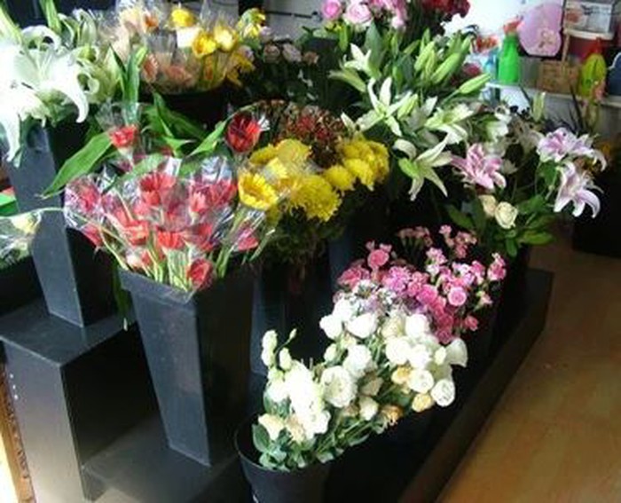 Corflute flower display stand Corflute flower display stand