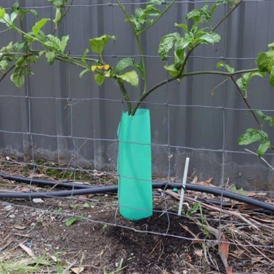 محافظ درخت کرفلوت پلاستیکی